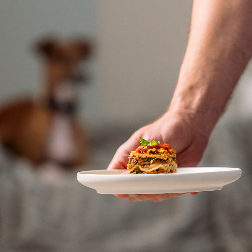Decoding Proteins: Choosing the Right Protein Source for Your Dog's Diet