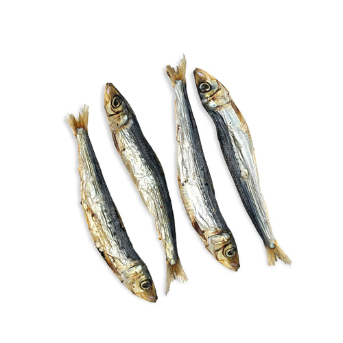 Whole Wild Sardine Treats