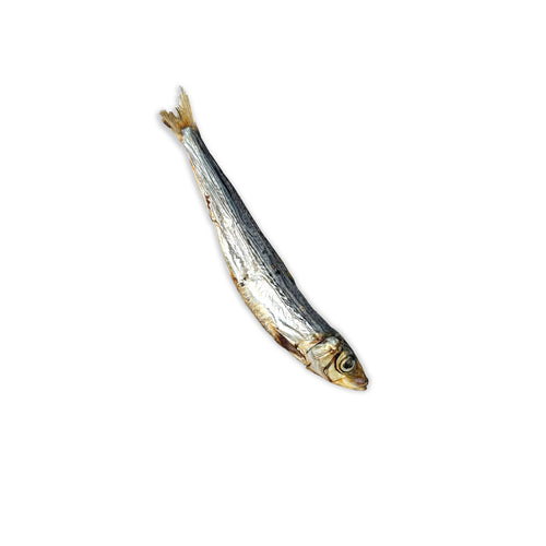 Whole Wild Sardine Treats